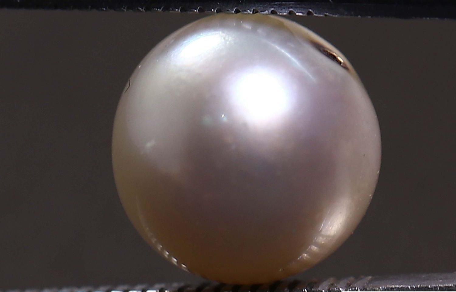 PEARL 5.51 Ct.