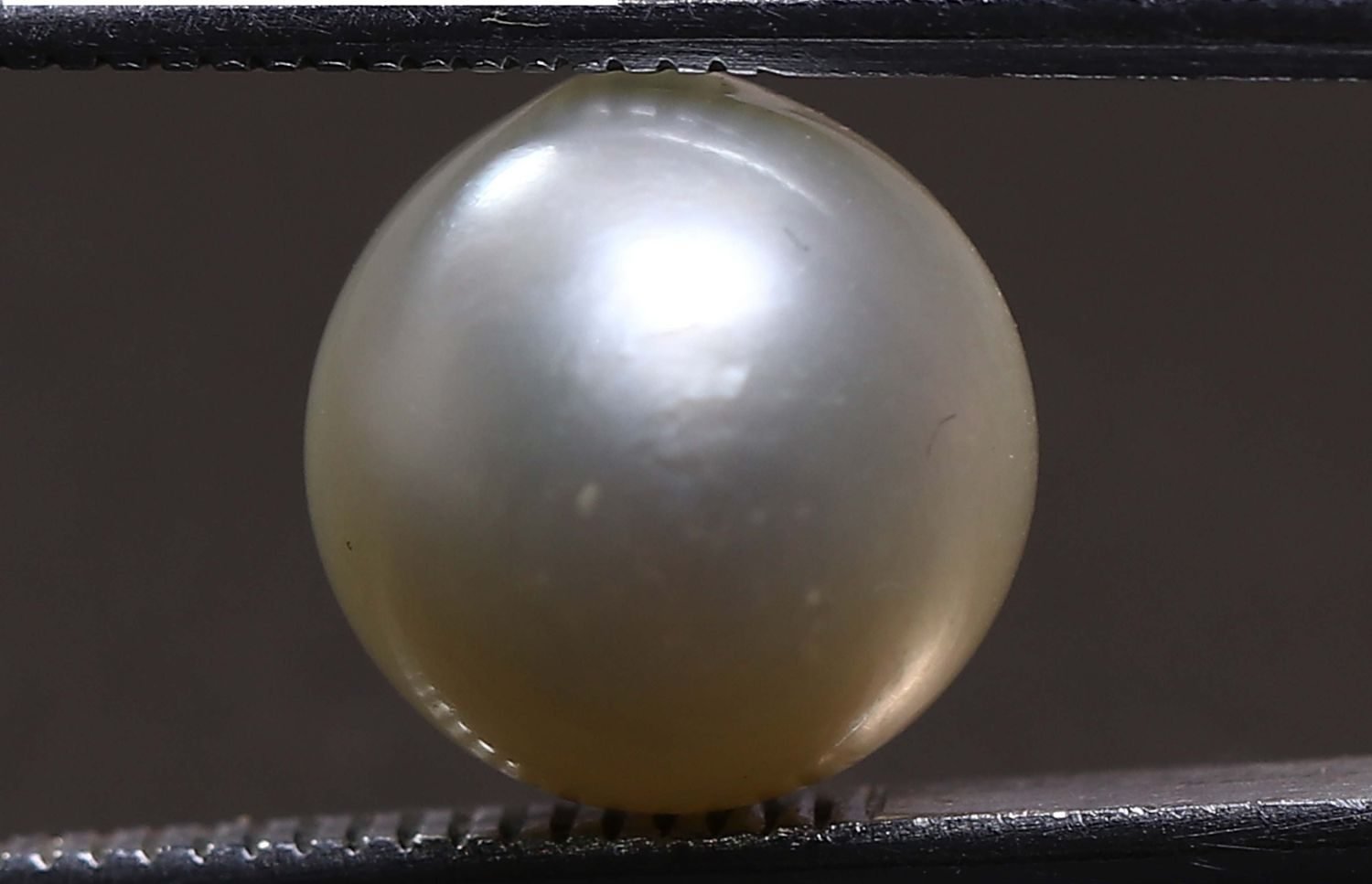 PEARL 5.53 Ct.