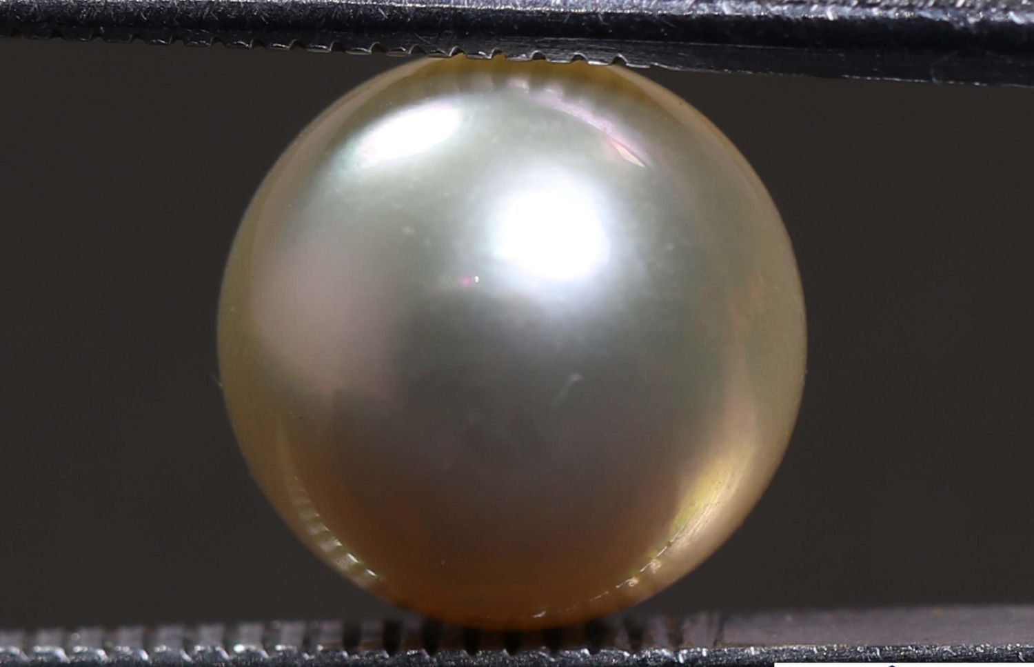 PEARL 5.61 Ct.