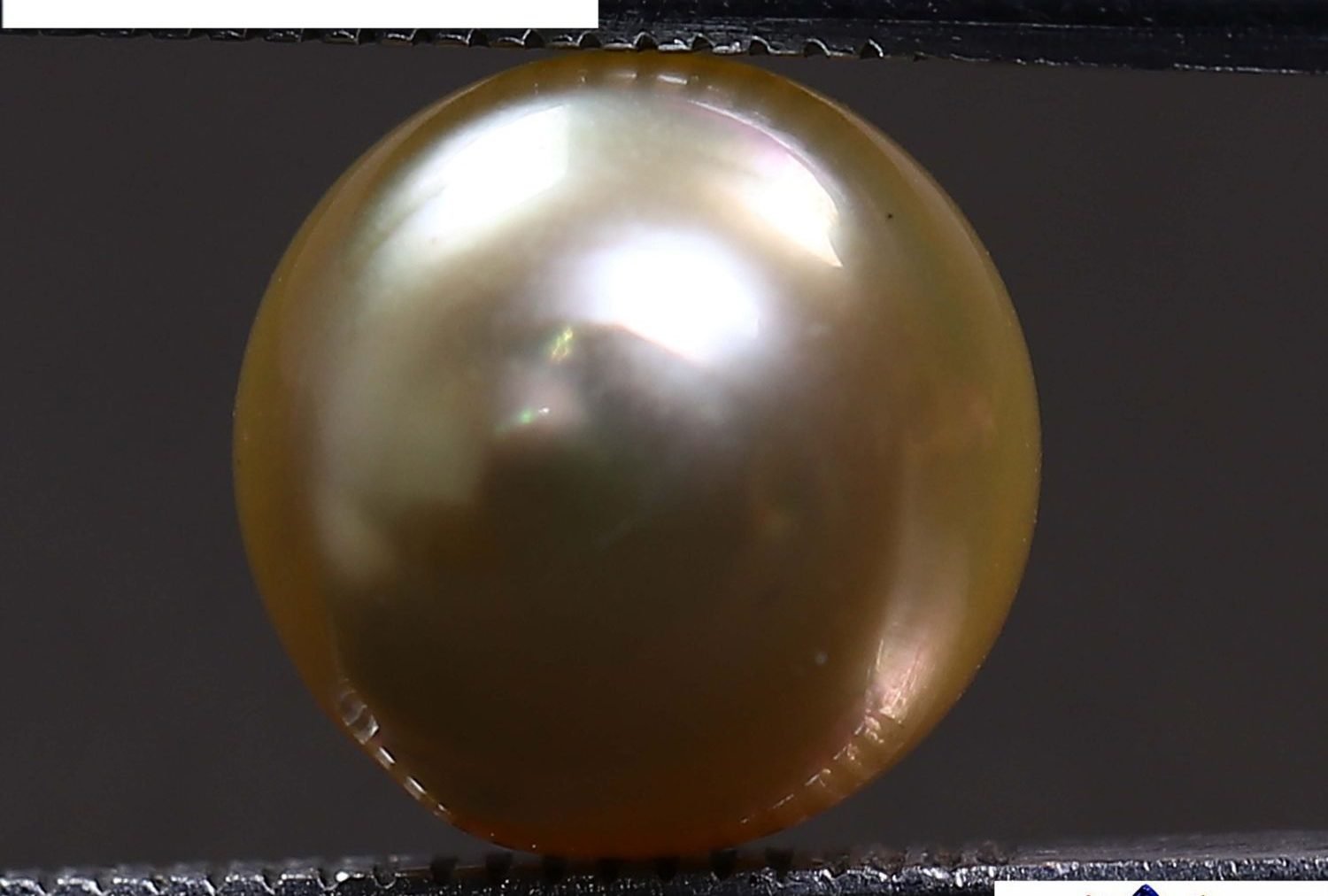 PEARL 5.63 Ct.