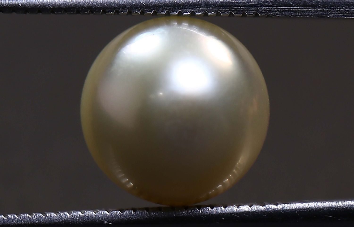 PEARL 6.02 Ct.