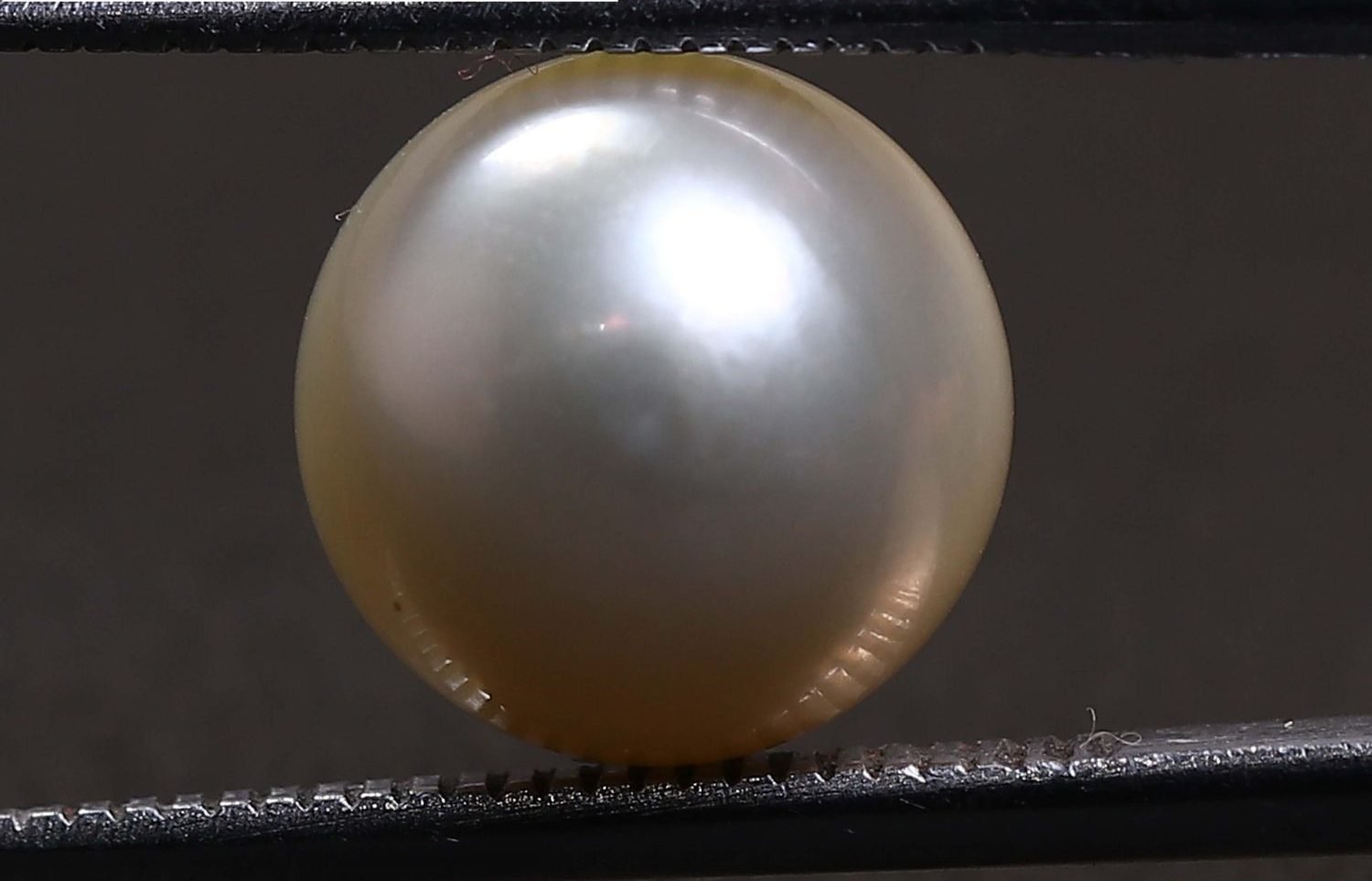 PEARL 6.08 Ct.