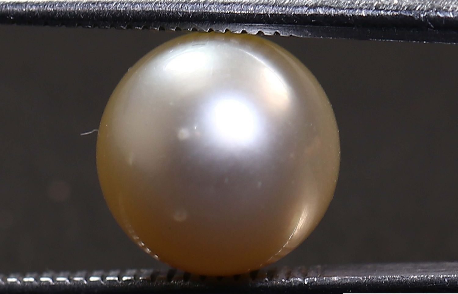 PEARL 6.16 Ct.