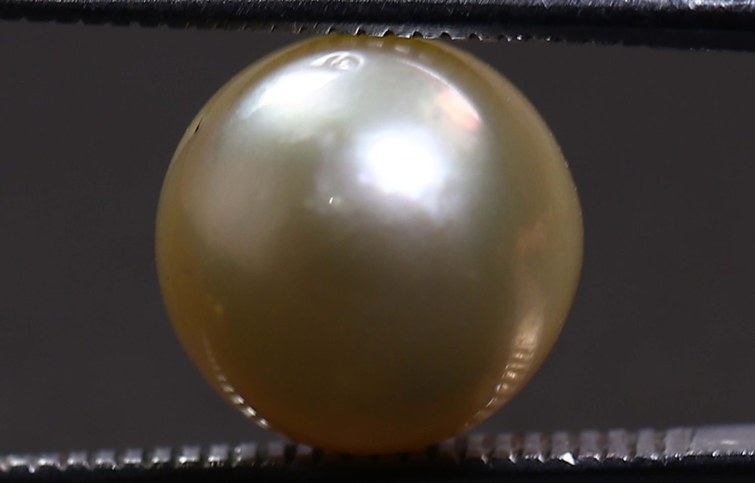 PEARL 6.53 Ct.