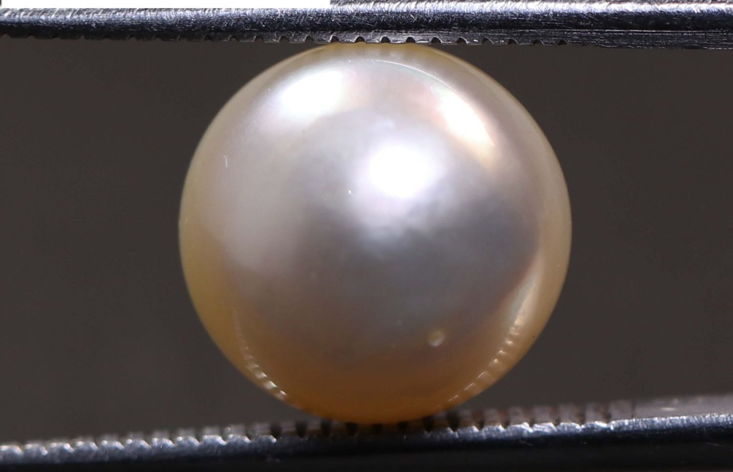 PEARL 6.53 Ct.