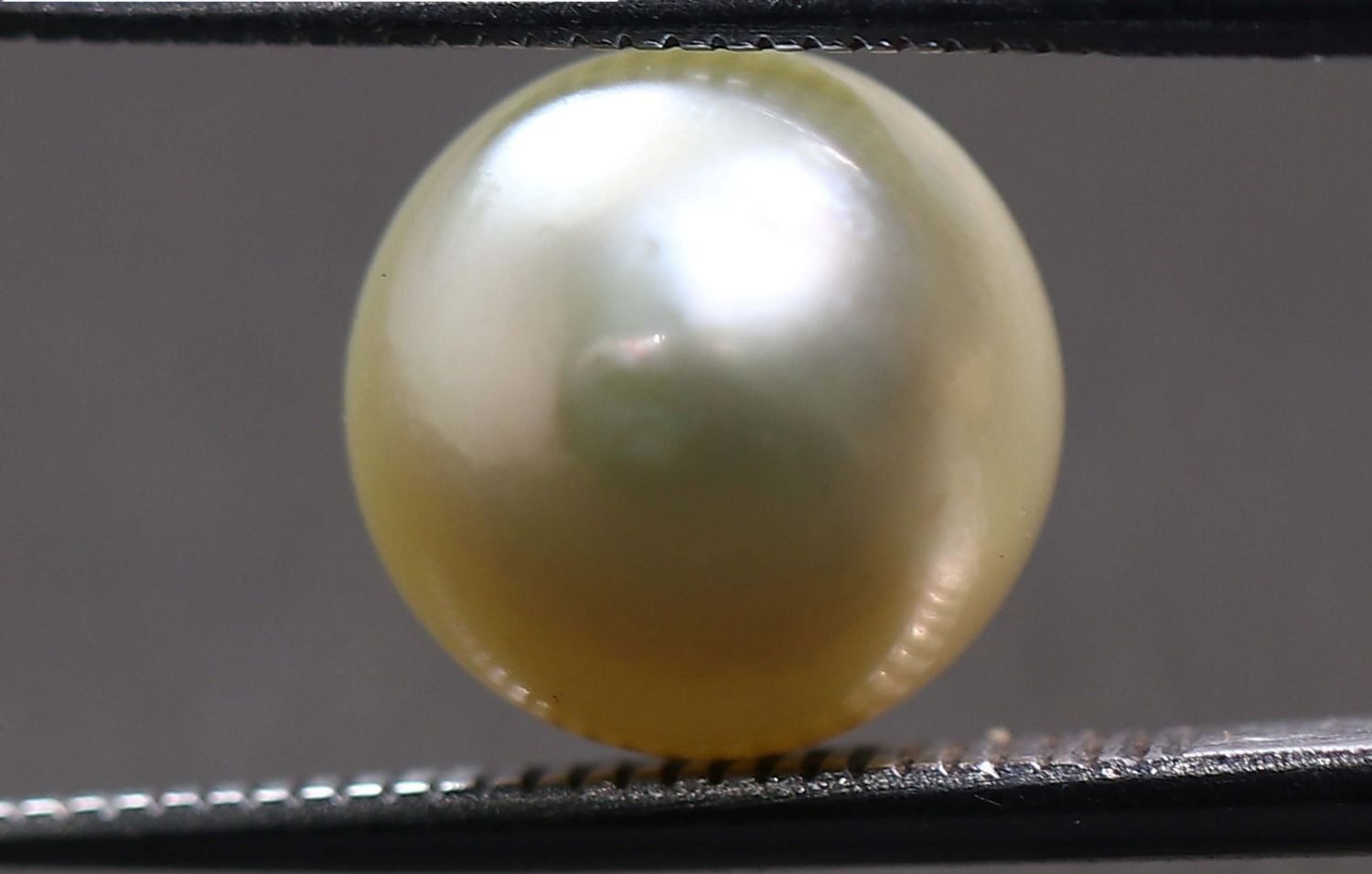 PEARL 6.68 Ct.