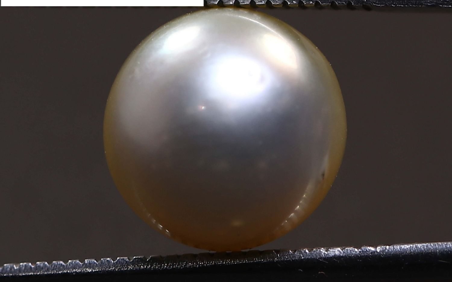 PEARL 6.88 Ct.