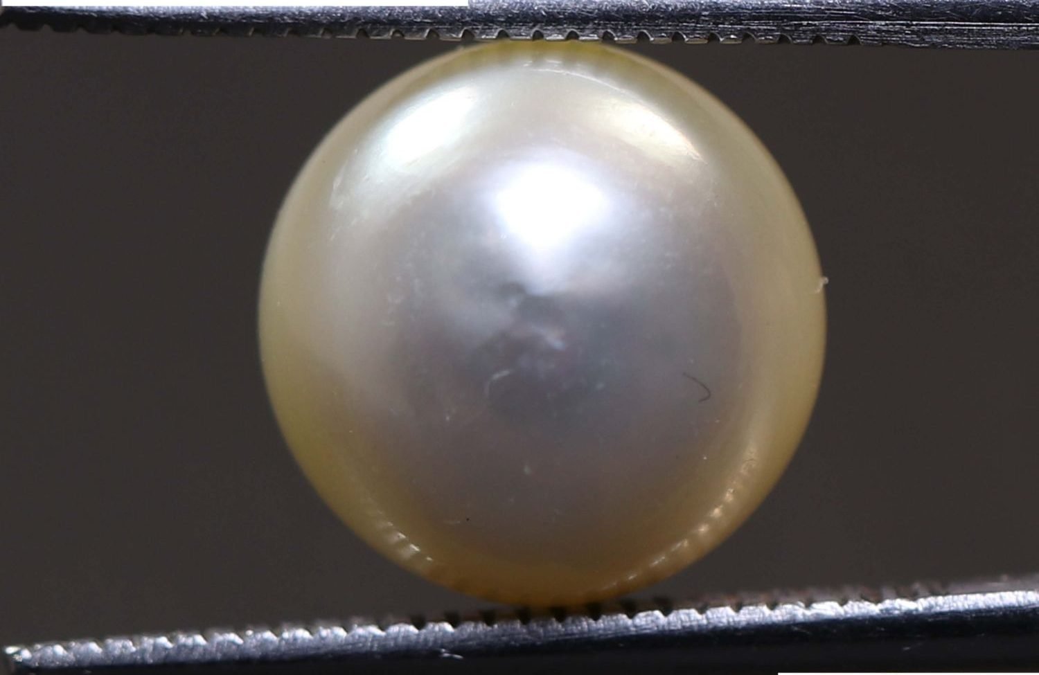 PEARL 7.27 Ct.