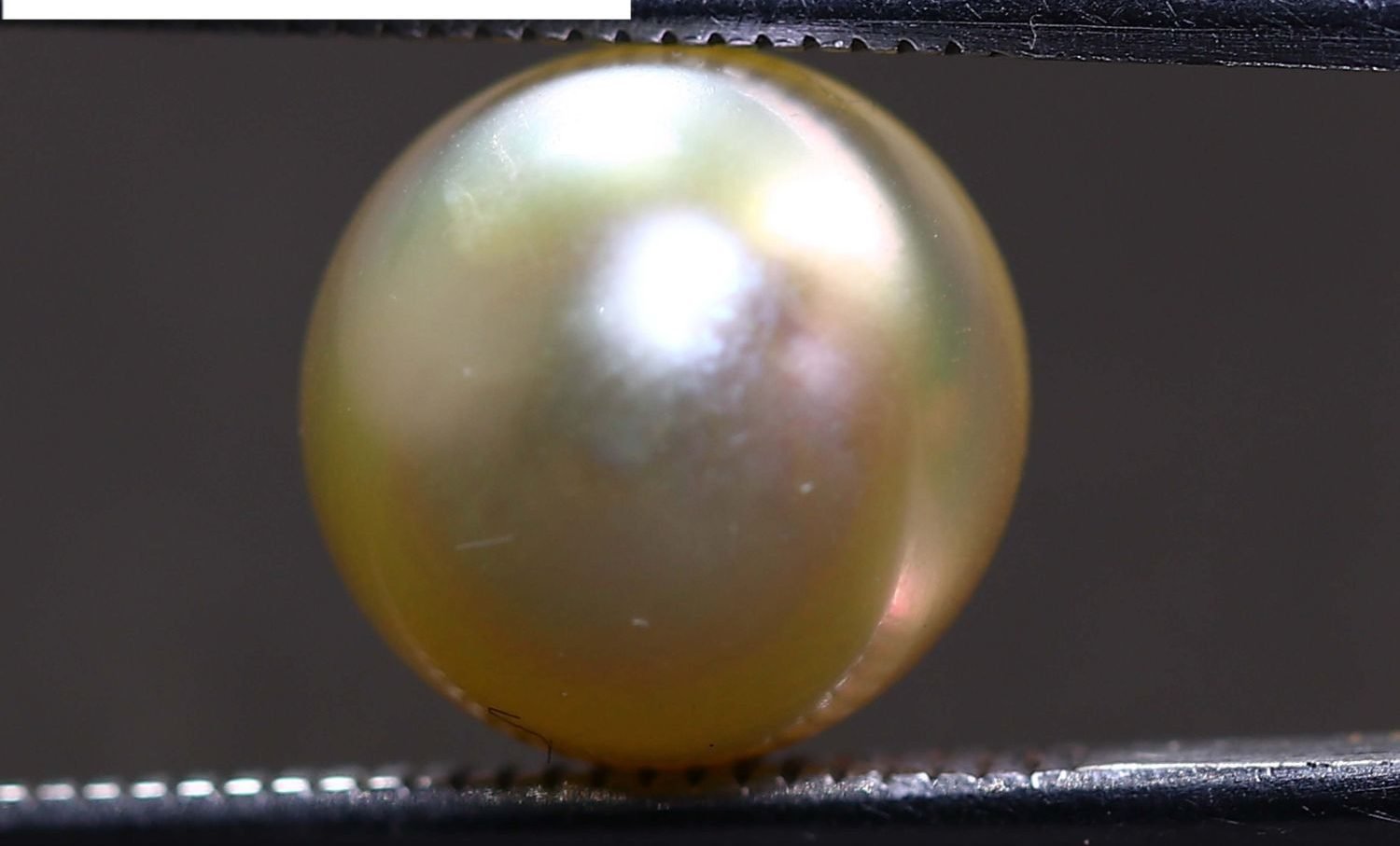 PEARL 7.34 Ct.