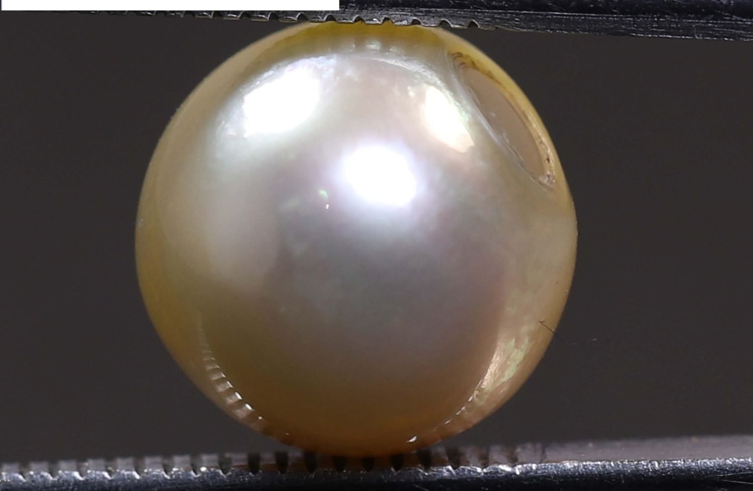 PEARL 7.52 Ct.