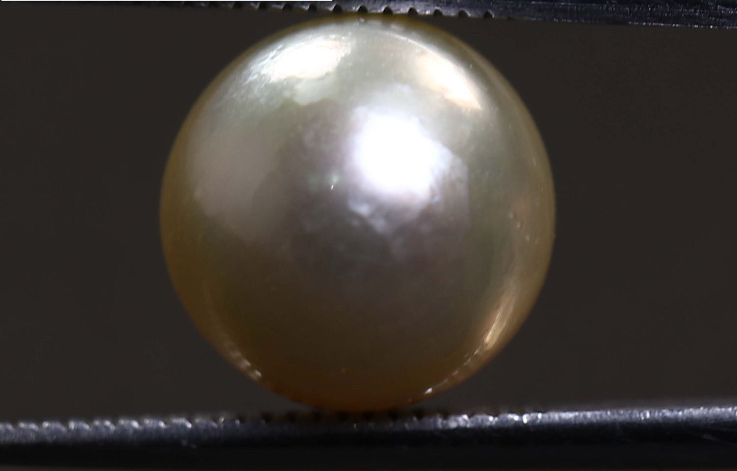 PEARL 7.62 Ct.