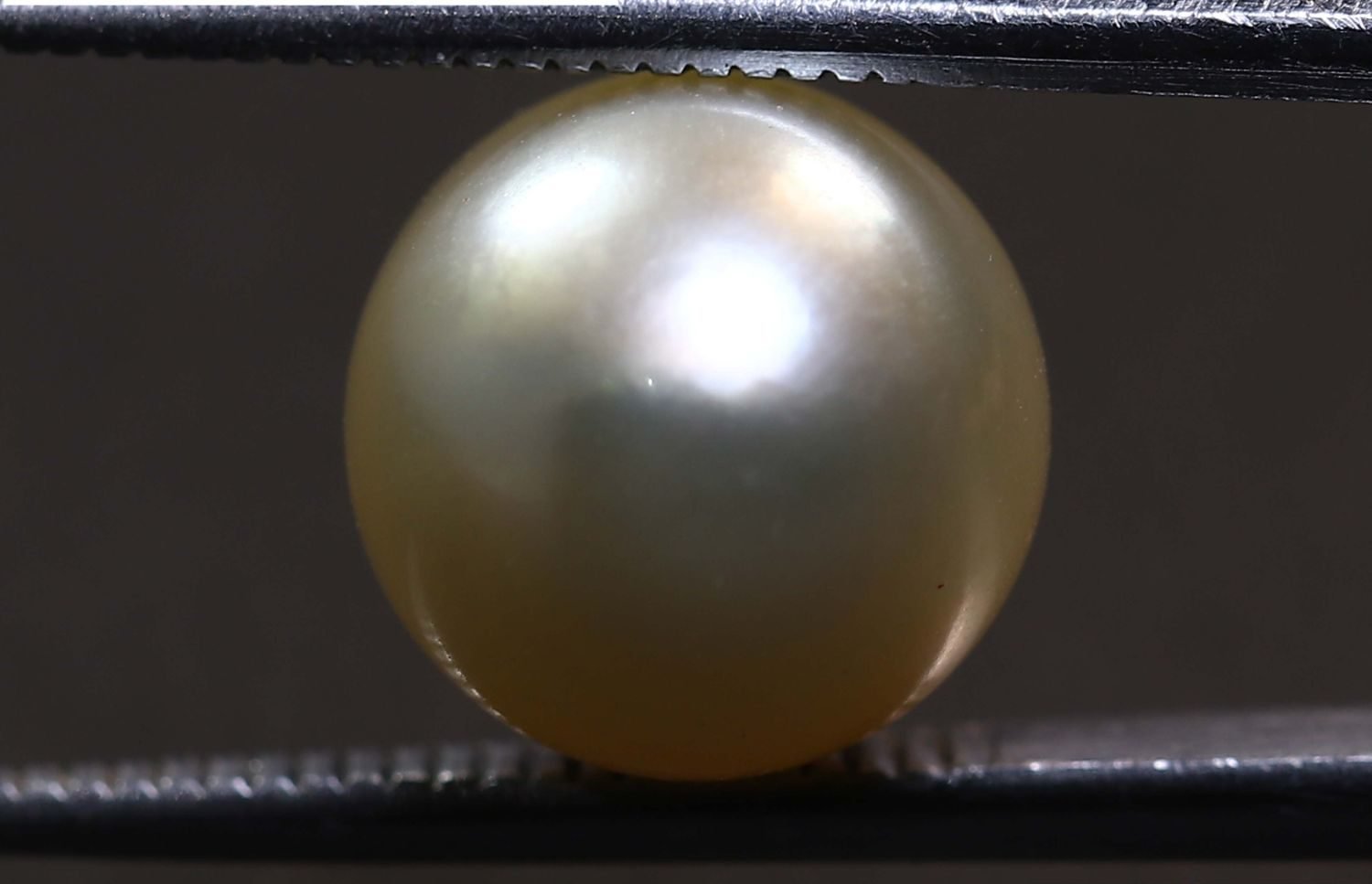 PEARL 7.88 Ct.