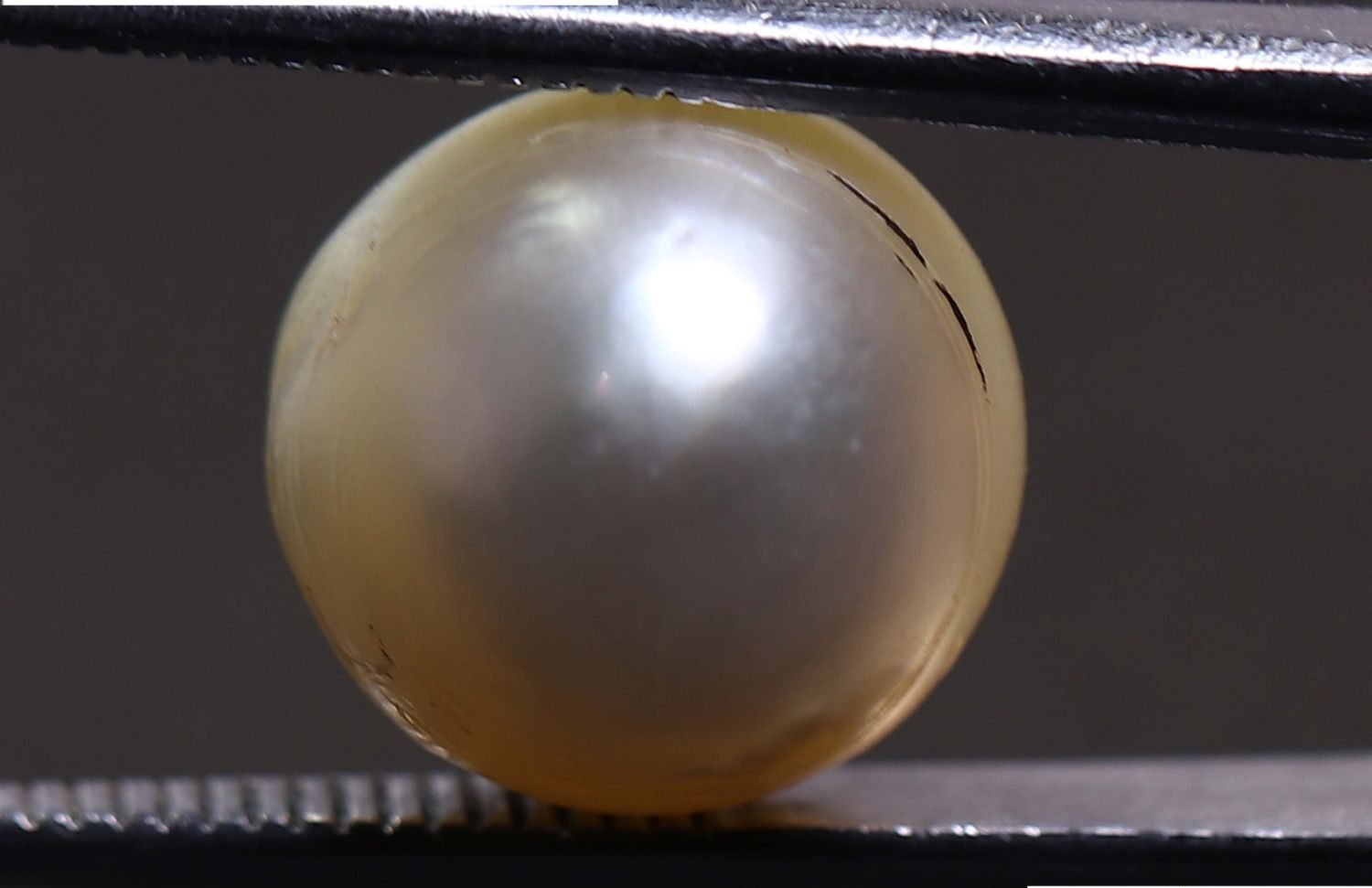 PEARL 8.1 Ct.